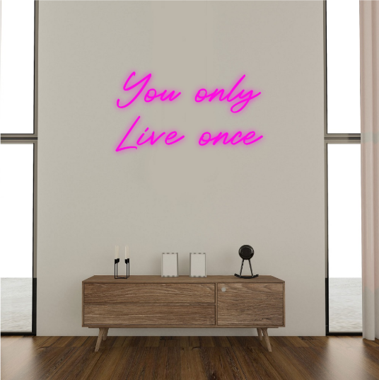 You only live once neon lamp