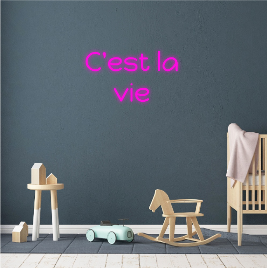 C'est la vie neon lamp neonbord
