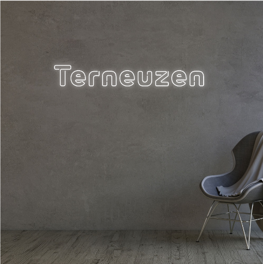 Terneuzen neon sign Terneuzen neon lamp