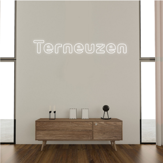 Terneuzen neon sign Terneuzen neon lamp