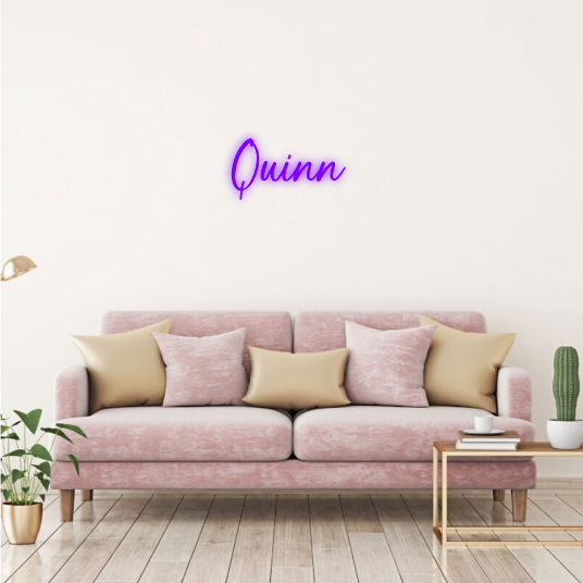 Quinn gender neutral name neon lamp